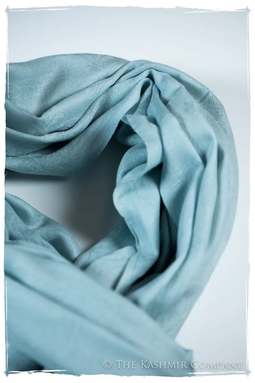 Ballad Bleu Paisley Kashmir Wool Scarf