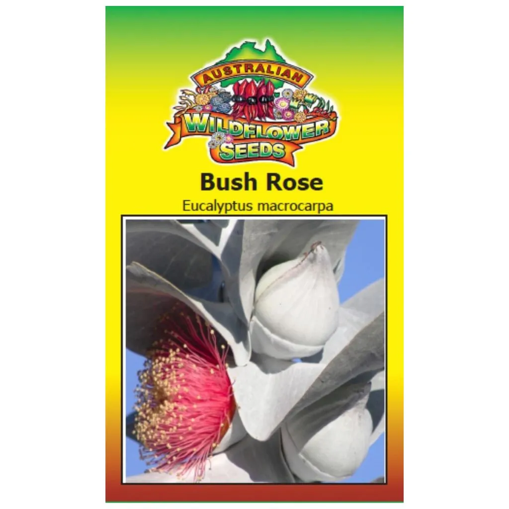 Bush Rose Seeds