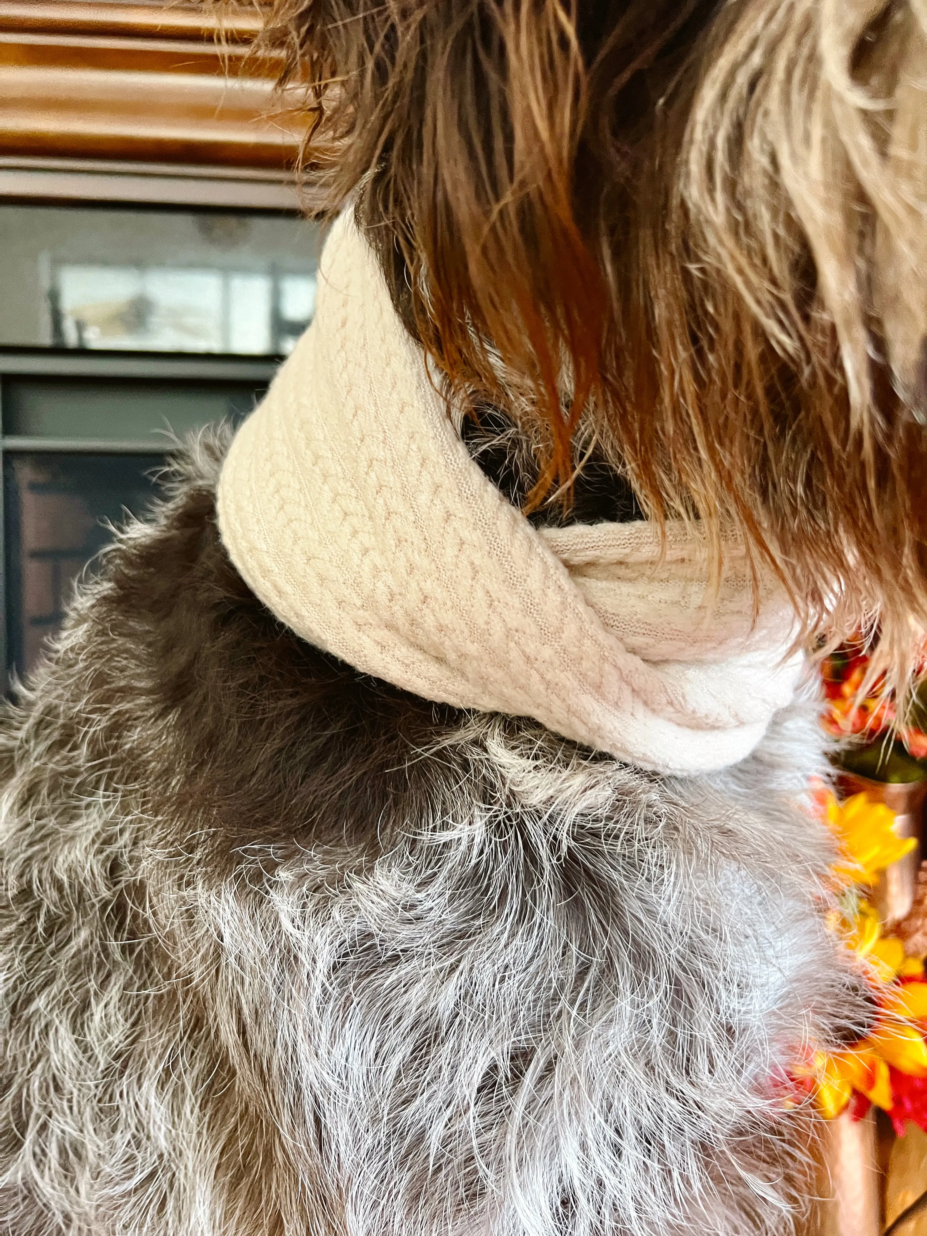 Cream Sweater Knit Infinity Dog Scarf