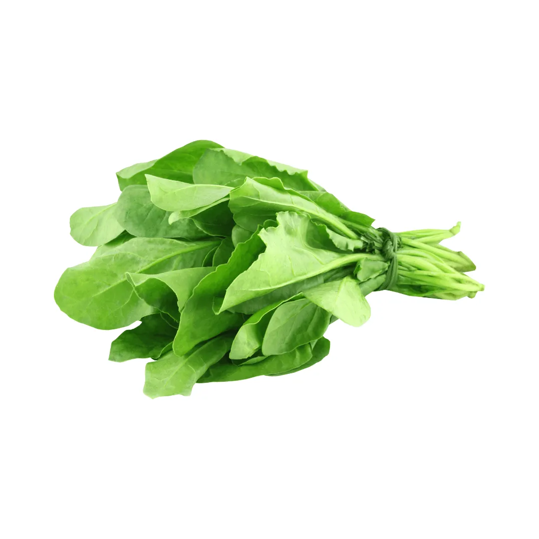 Spinach Winter Giant Seeds | Weston Seeds